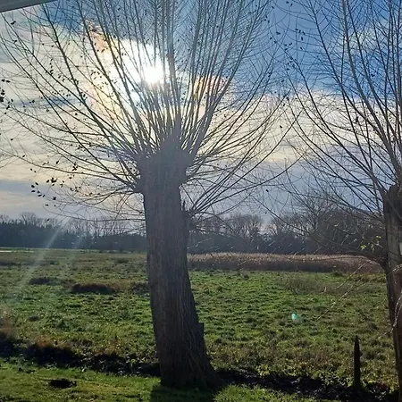 Residenz Haffblick, 37 Διαμέρισμα Boltenhagen (Ostseebad)